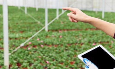 beats365(中国区)-唯一官方网站