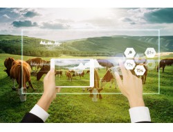 beats365(中国区)-唯一官方网站